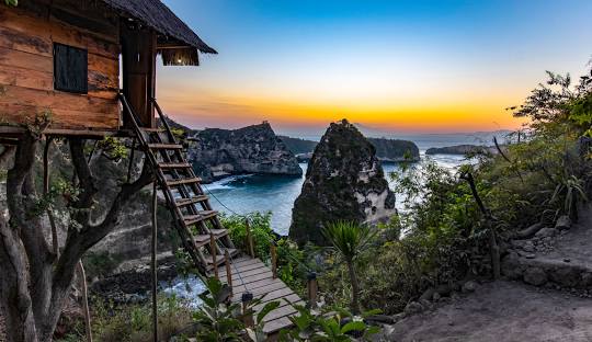 rumah pohon tree house